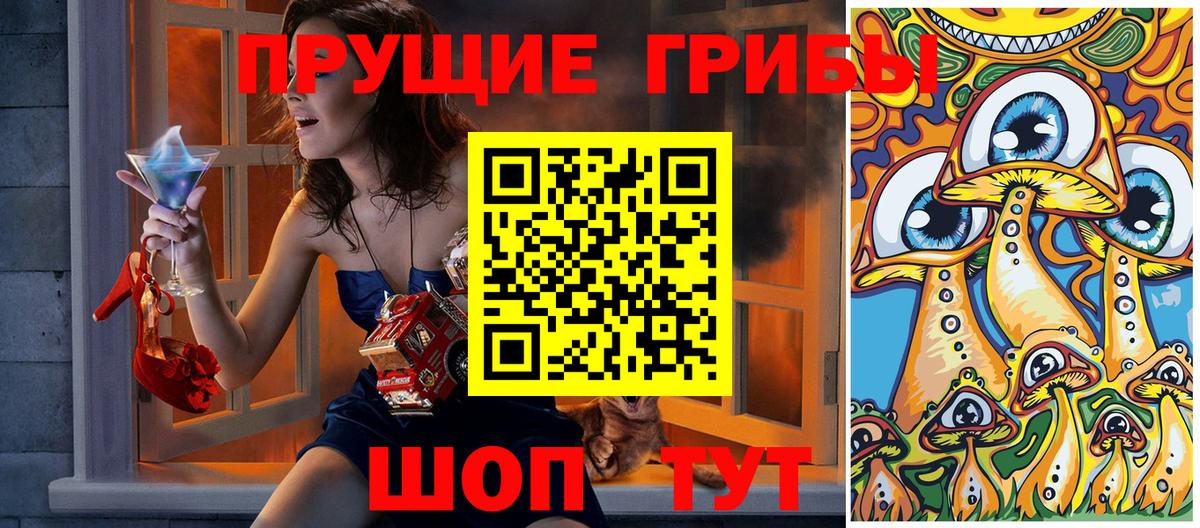 Псилоцибиновые грибы Cubensis  Вход с VPN  Красноармейск  Галлюциногенные грибы Psilocybe 