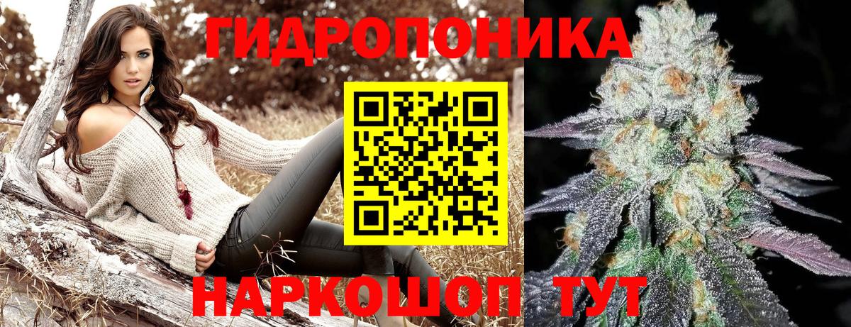 Бошки марихуана OG Kush  Вход с VPN  Шишки марихуана сатива  Красноармейск  Бошки Шишки конопля 